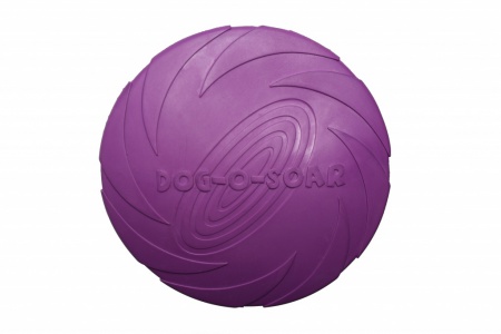 RUB-DISC-VIOLET-22CM